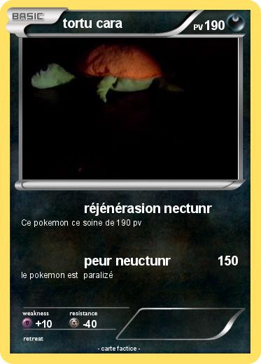 Pokemon tortu cara