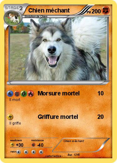 Pokemon Chien méchant
