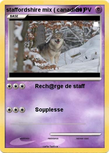 Pokemon staffordshire mix ( canadien )