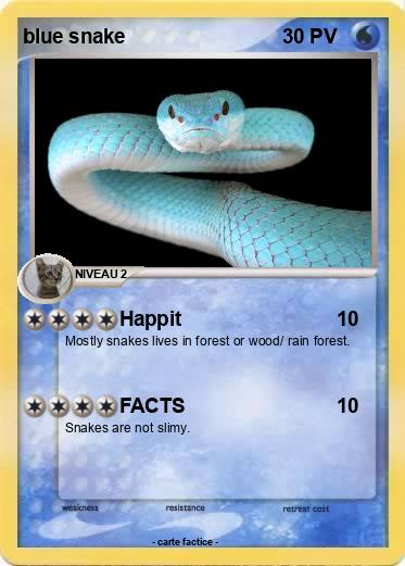 Pokemon blue snake
