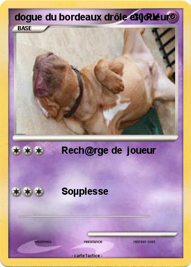 Pokemon dogue du bordeaux drôle et joueur