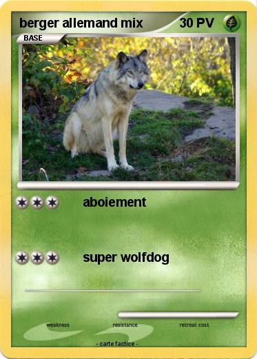 Pokemon berger allemand mix