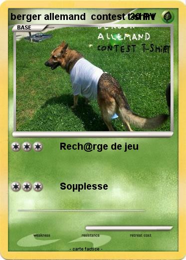 Pokemon berger allemand  contest t-shirt