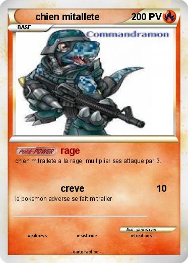 Pokemon chien mitallete