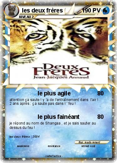 Pokemon les deux frères