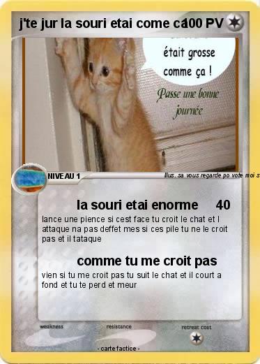 Pokemon j'te jur la souri etai come ca