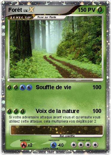 Pokemon Forêt