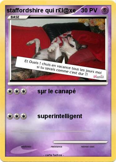 Pokemon staffordshire qui r£l@xe