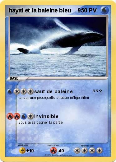 Pokemon hayat et la baleine bleu    9