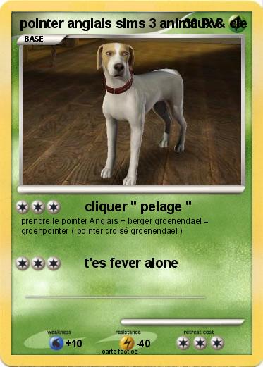 Pokemon pointer anglais sims 3 animaux & cie