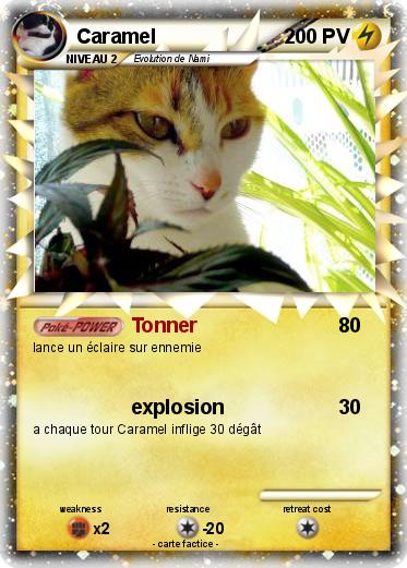 Pokemon Caramel