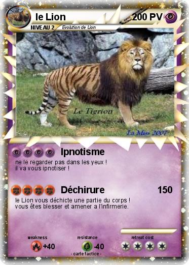 Pokemon le Lion