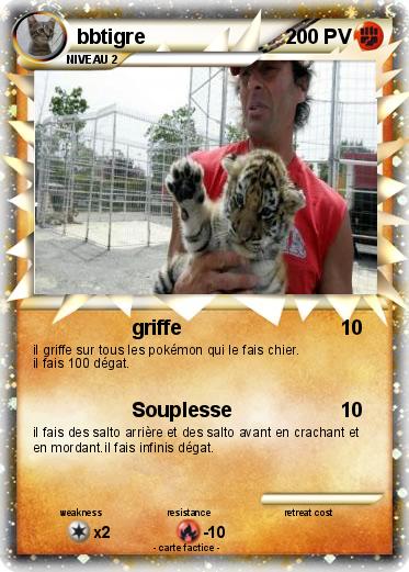 Pokemon bbtigre