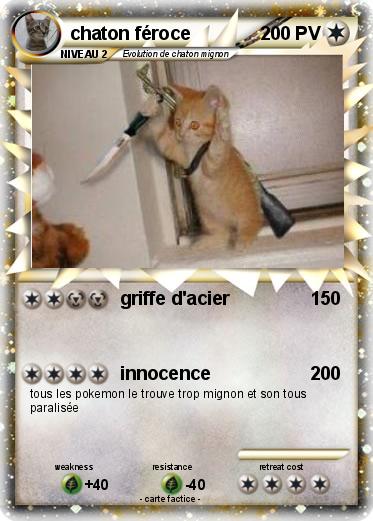 Pokemon chaton féroce