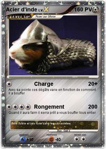 Pokemon Acier d'inde