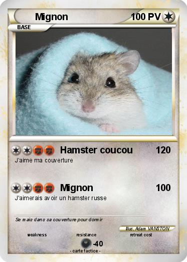 Pokemon Mignon