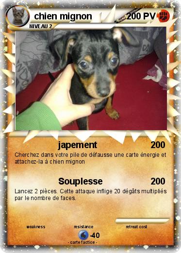 Pokemon chien mignon