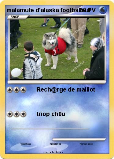 Pokemon malamute d'alaska footballeur