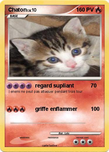 Pokemon Chaton