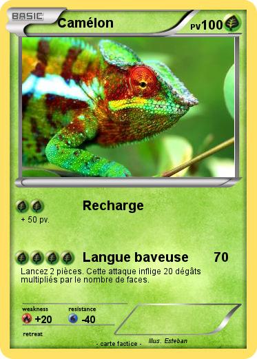 Pokemon Camélon