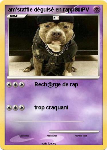 Pokemon am'staffie déguisé en rappeur