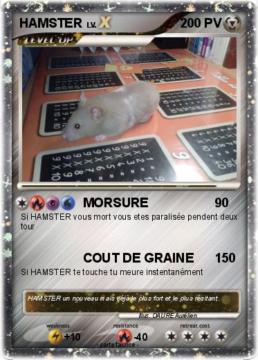 Pokemon HAMSTER