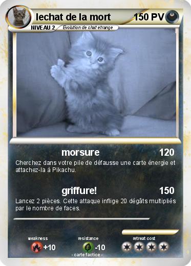 Pokemon lechat de la mort