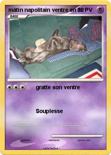 Pokemon mâtin napolitain ventre en air