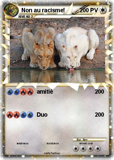 Pokemon Non au racisme!