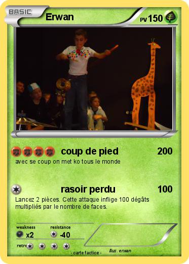 Pokemon Erwan