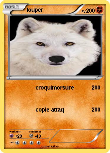 Pokemon louper