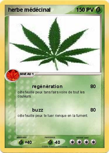 Pokemon herbe médécinal