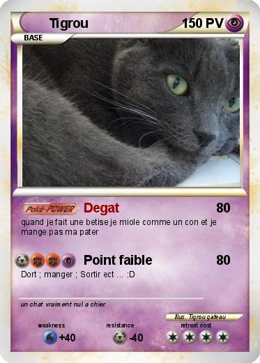 Pokemon Tigrou