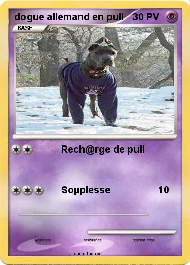 Pokemon dogue allemand en pull