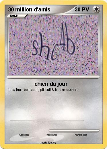 Pokemon 30 million d'amis