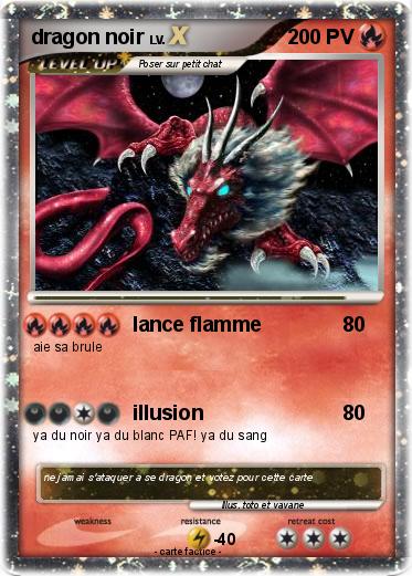 Pokemon dragon noir