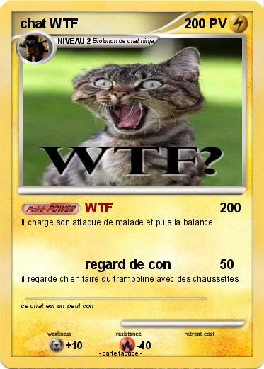 Pokemon chat WTF