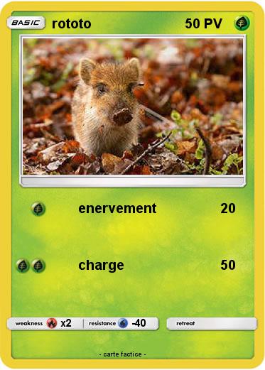 Pokemon rototo