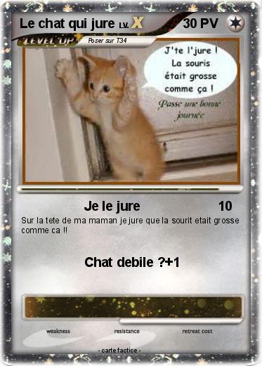 Pokemon Le chat qui jure
