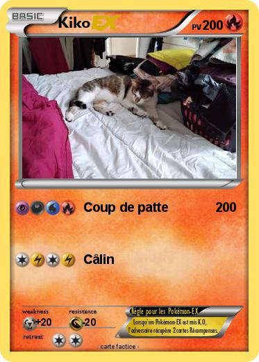 Pokemon Kiko