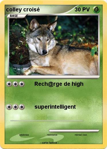 Pokemon colley croisé