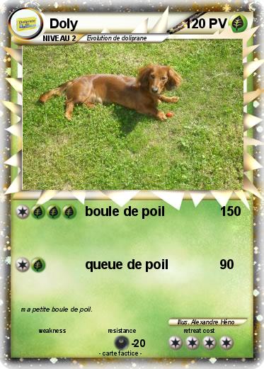 Pokemon Doly
