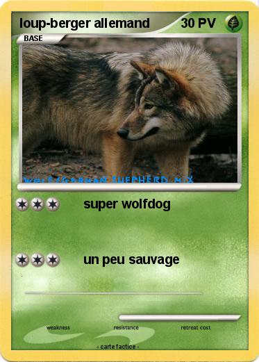 Pokemon loup-berger allemand
