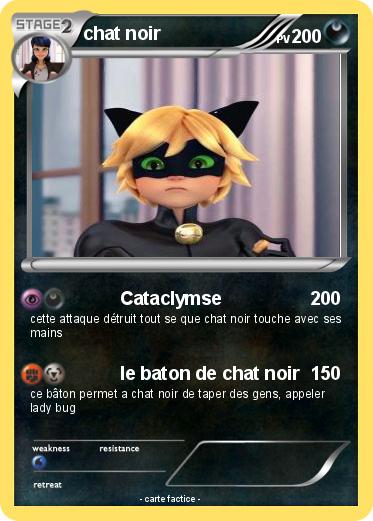 Pokemon chat noir