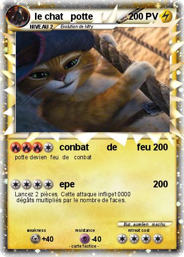 Pokemon le chat   potte