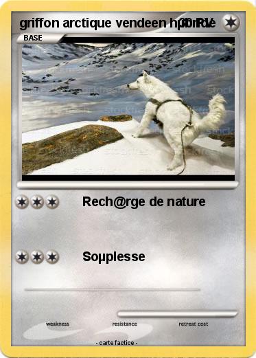 Pokemon griffon arctique vendeen hµbride