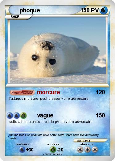 Pokemon phoque
