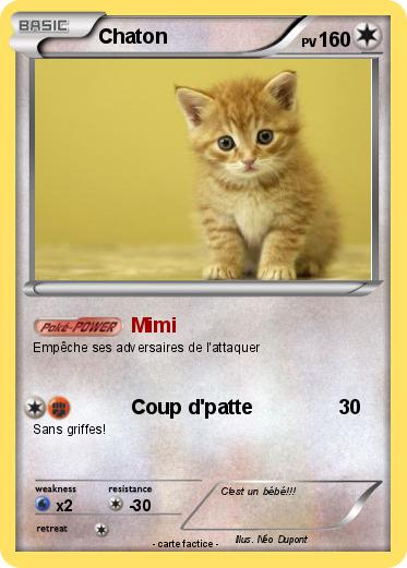 Pokemon Chaton