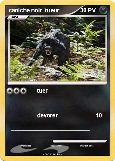 Pokemon caniche noir  tueur