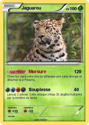 Pokemon Jaguarou